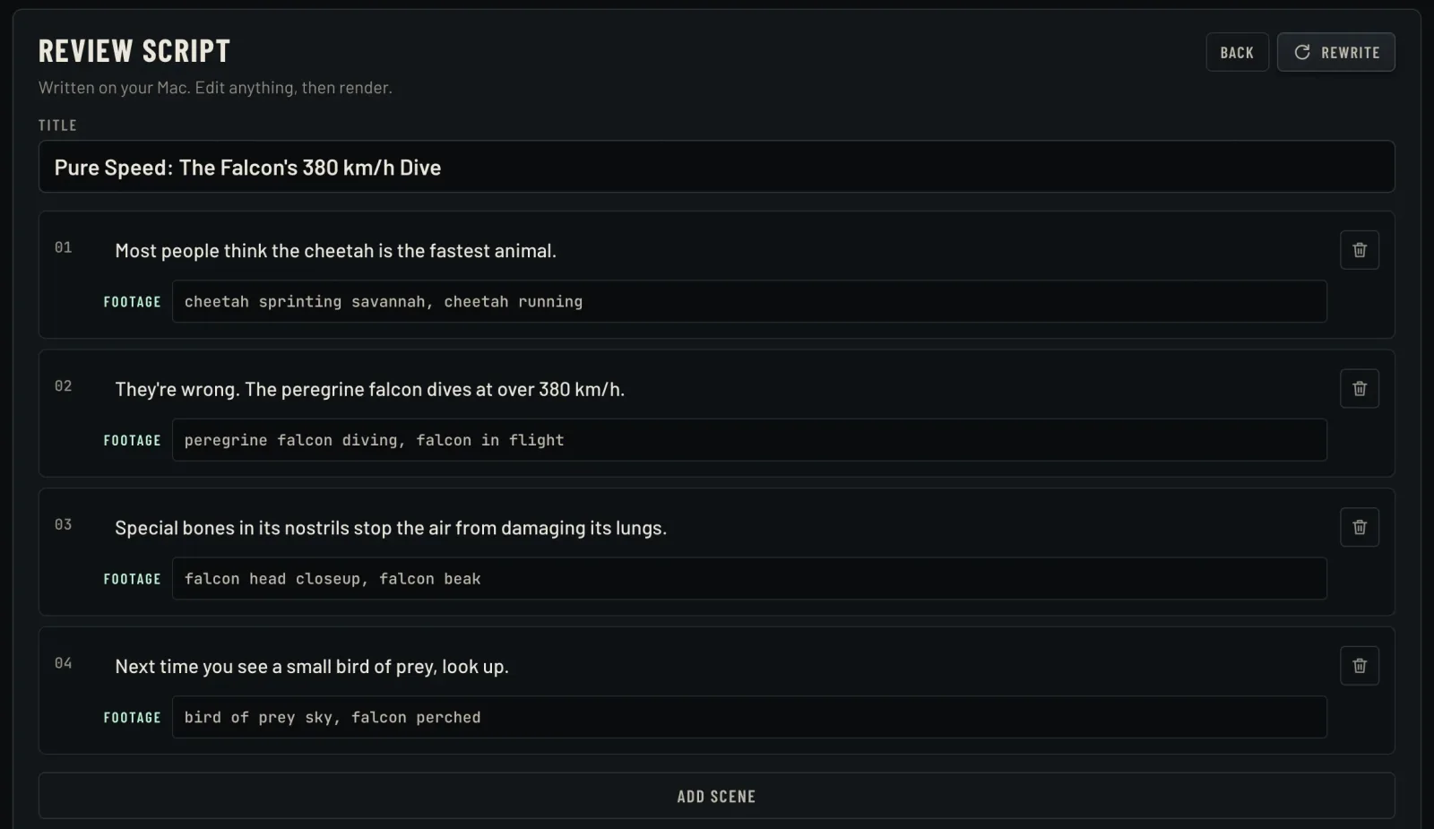 TallyReel script review screen: a title and four scenes, each with its line and the footage search it uses.